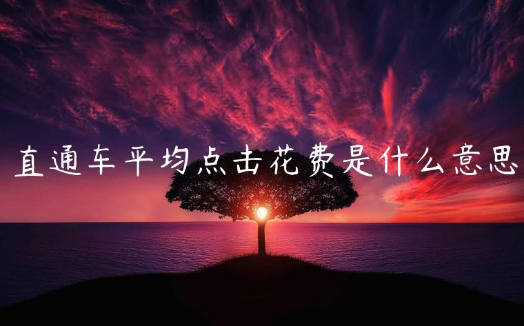 直通車平均點(diǎn)擊花費(fèi)是什么意思